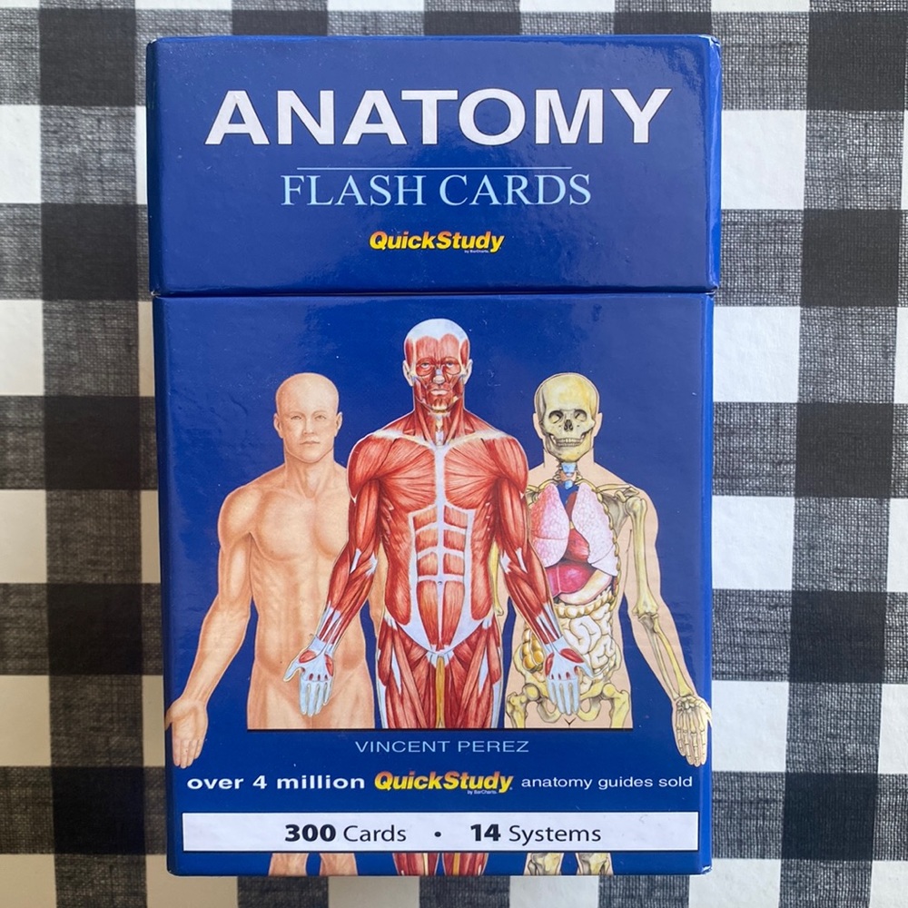 Anatomy Physiology Flash Cards Quick Study